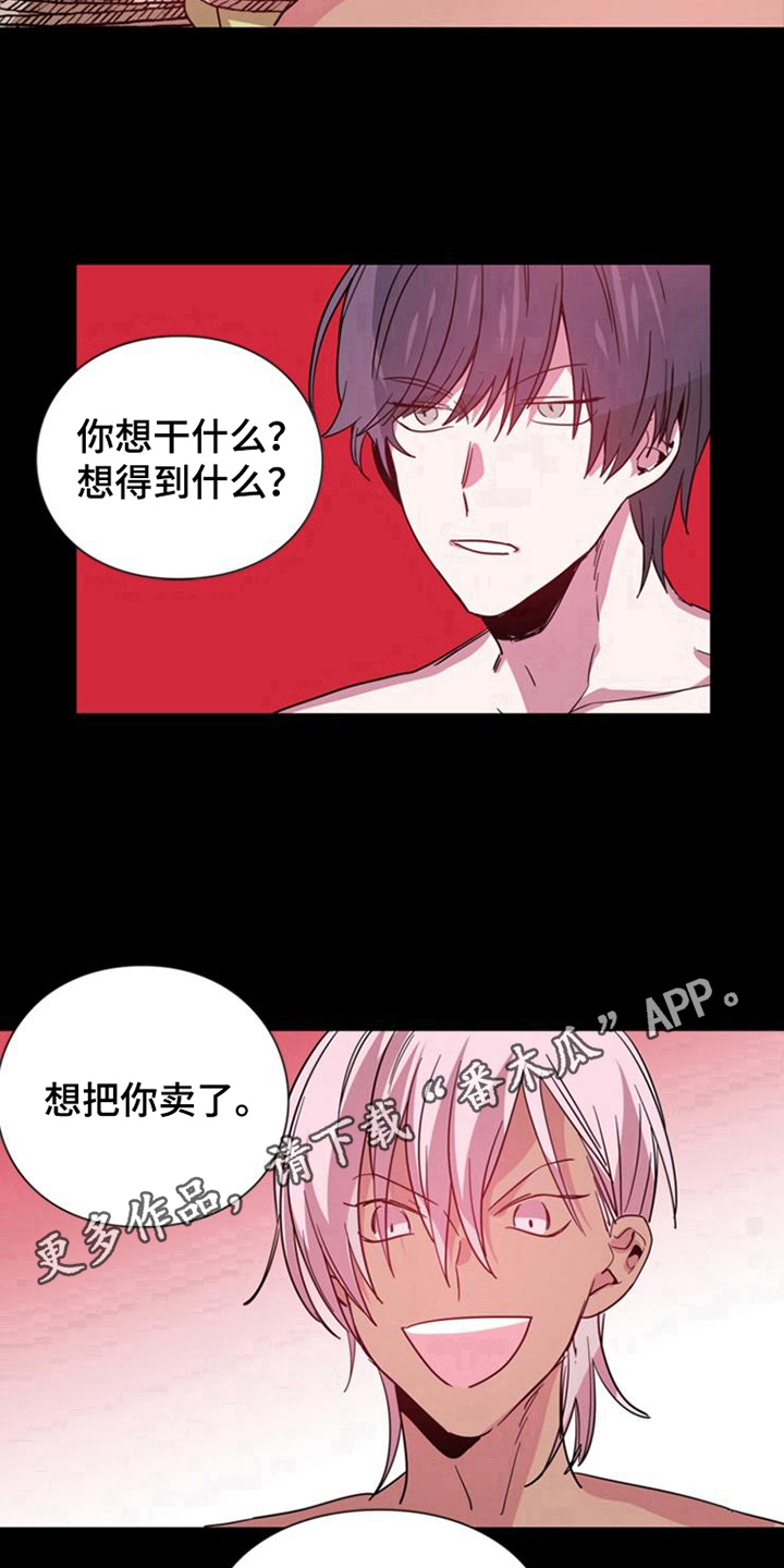 第23章：王牌13