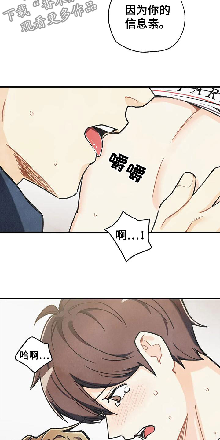 第165章：【番外】请允许我17