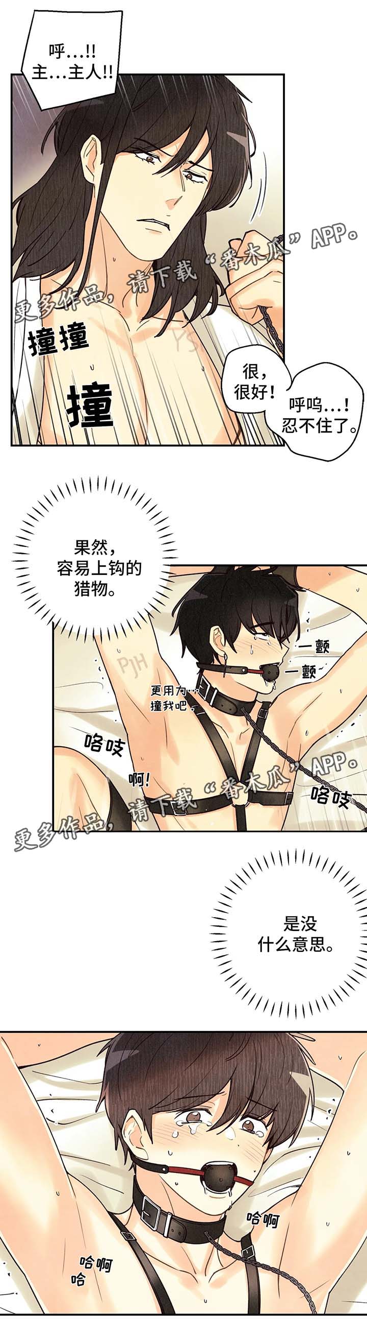 第56章：调查8