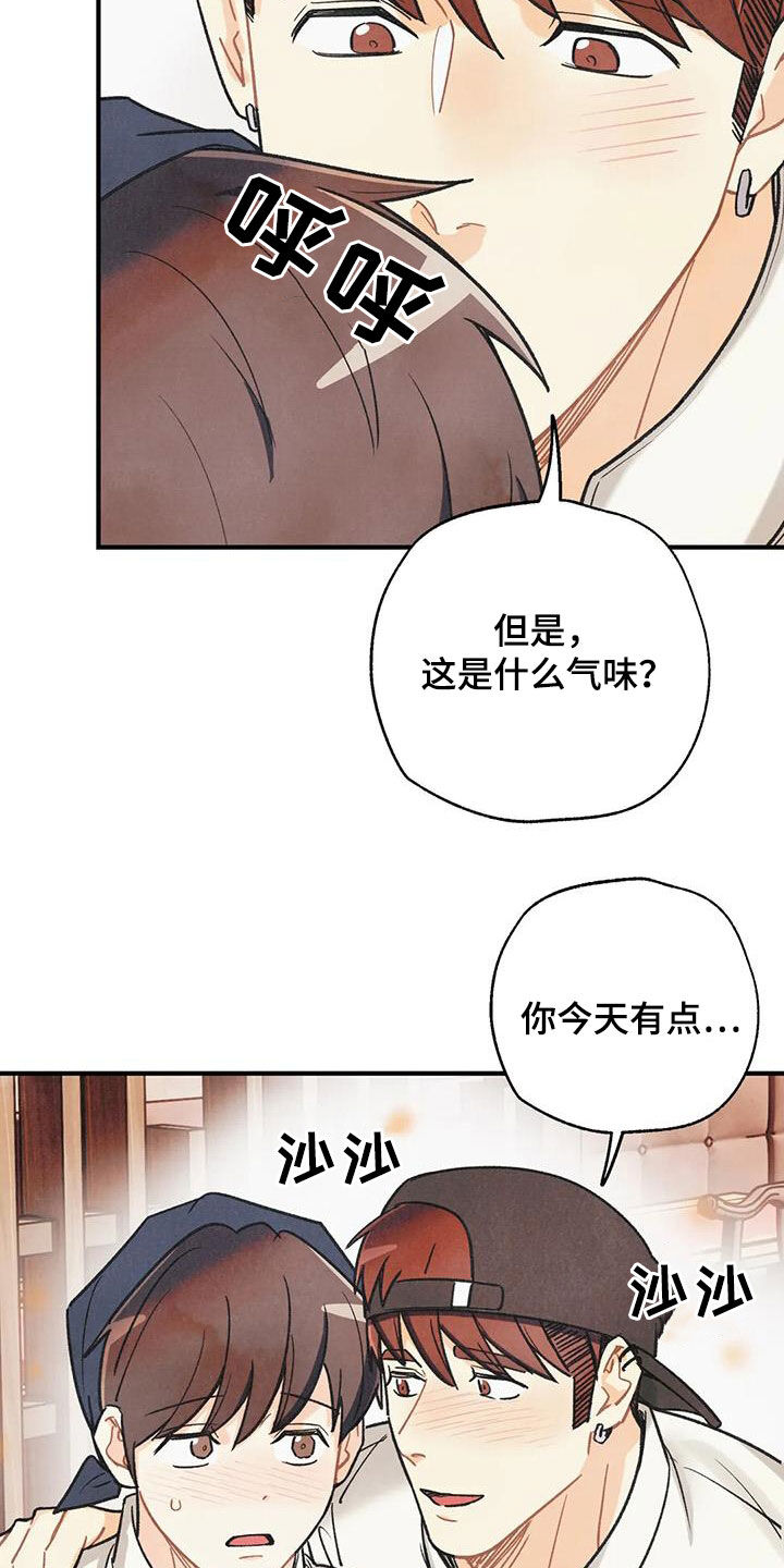 第162章：【番外】变成欧米伽6