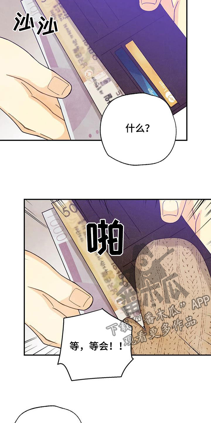 第155章：许愿（完结）3