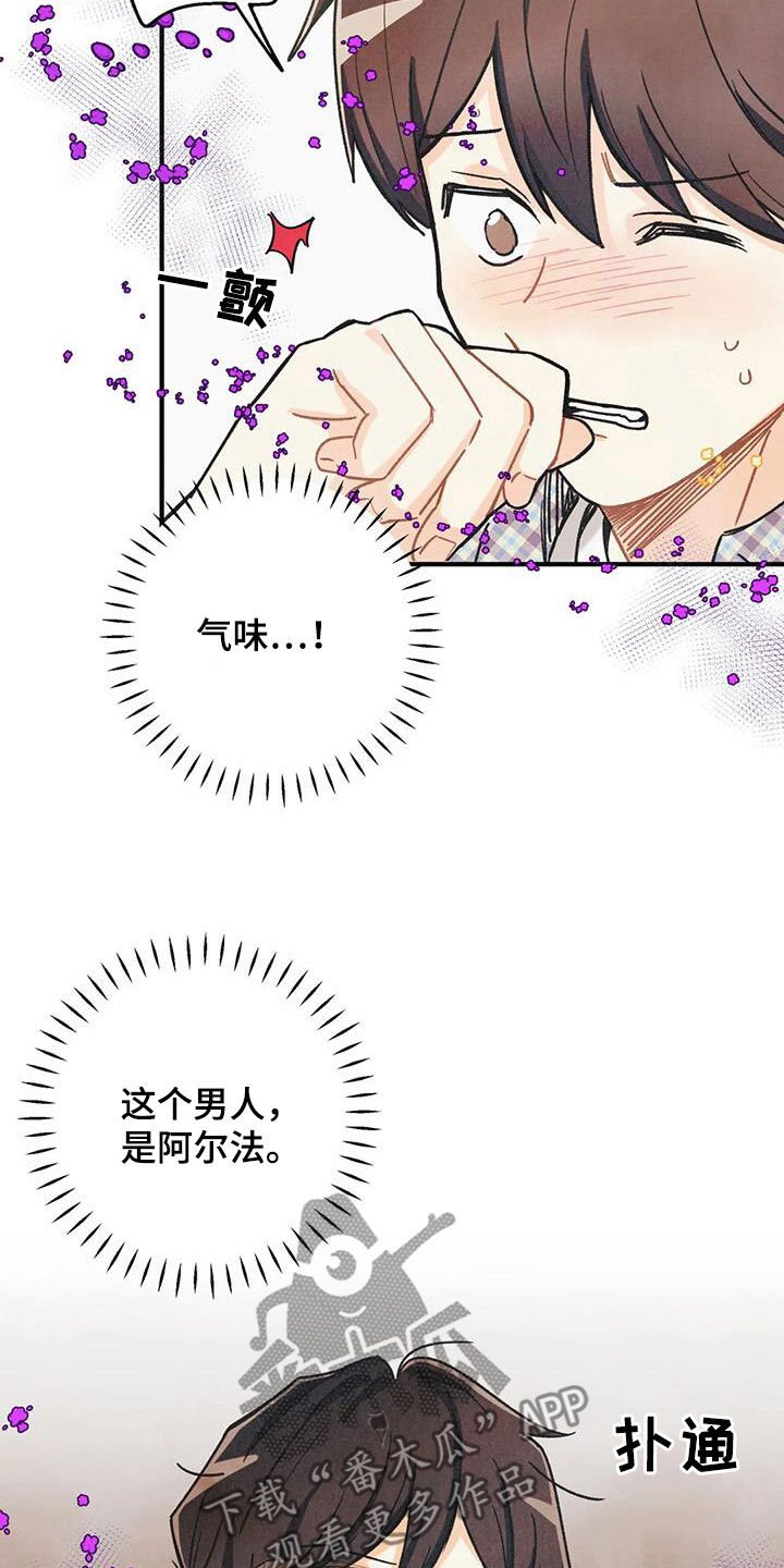 第163章：【番外】信息素压制17