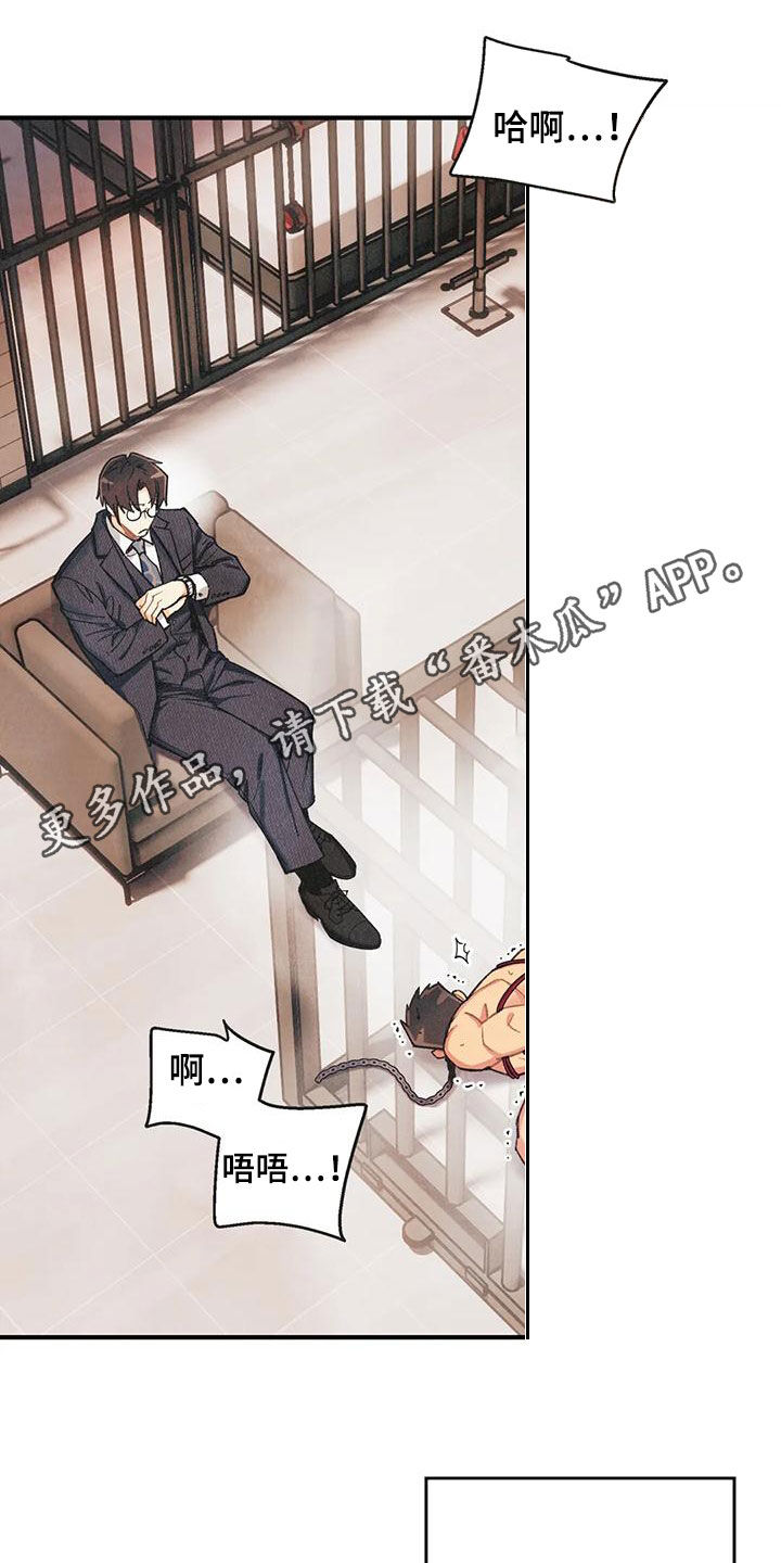 第158章：【番外】有点激动哦0