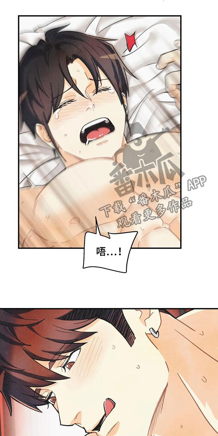 第159章：【番外】命运伴侣10