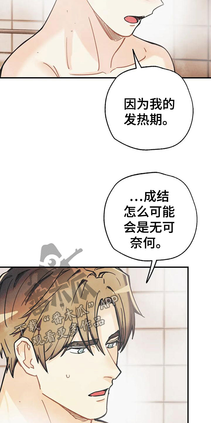 第166章：【番外完结】两年后16