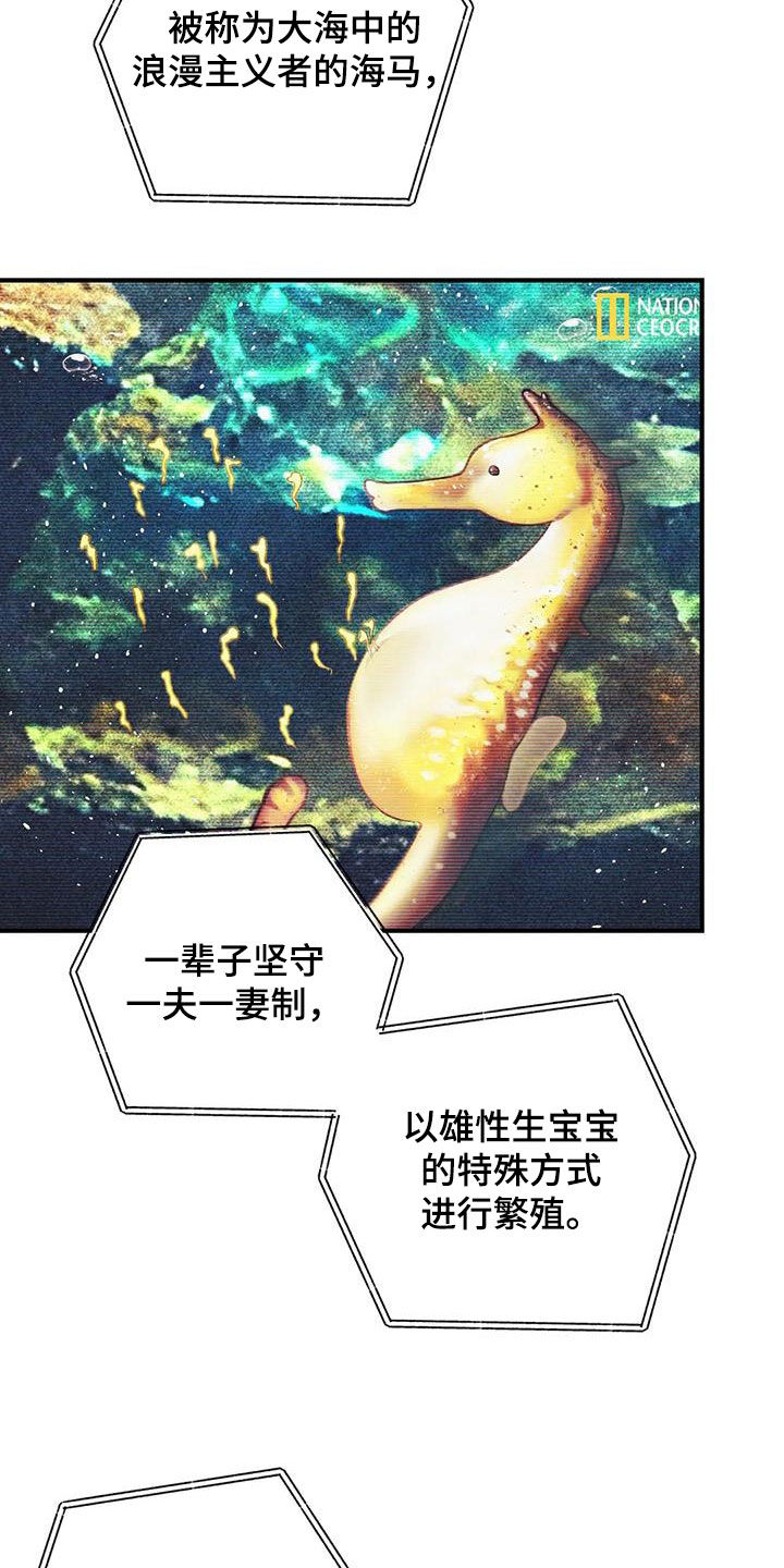 第162章：【番外】变成欧米伽1