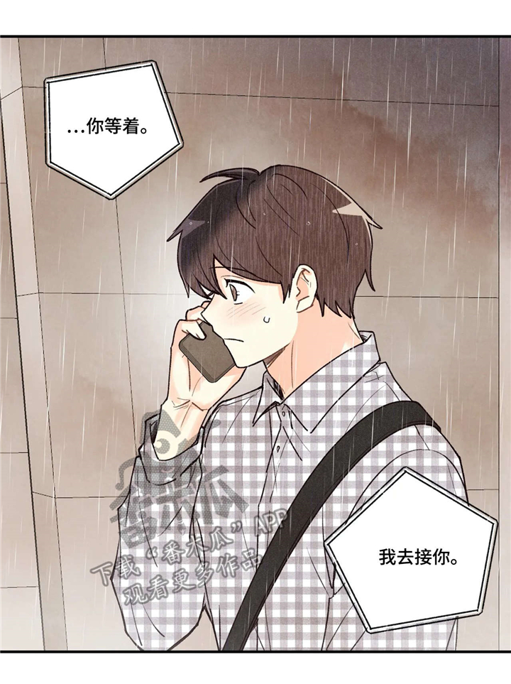 第65章：拔智齿13