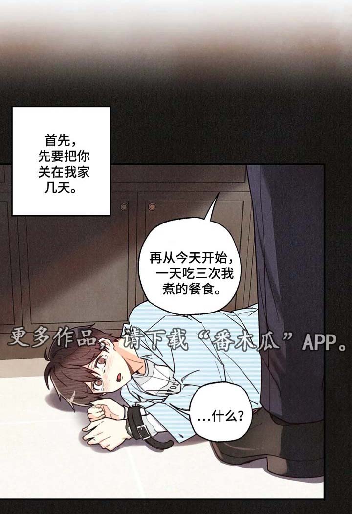 第42章：看书0