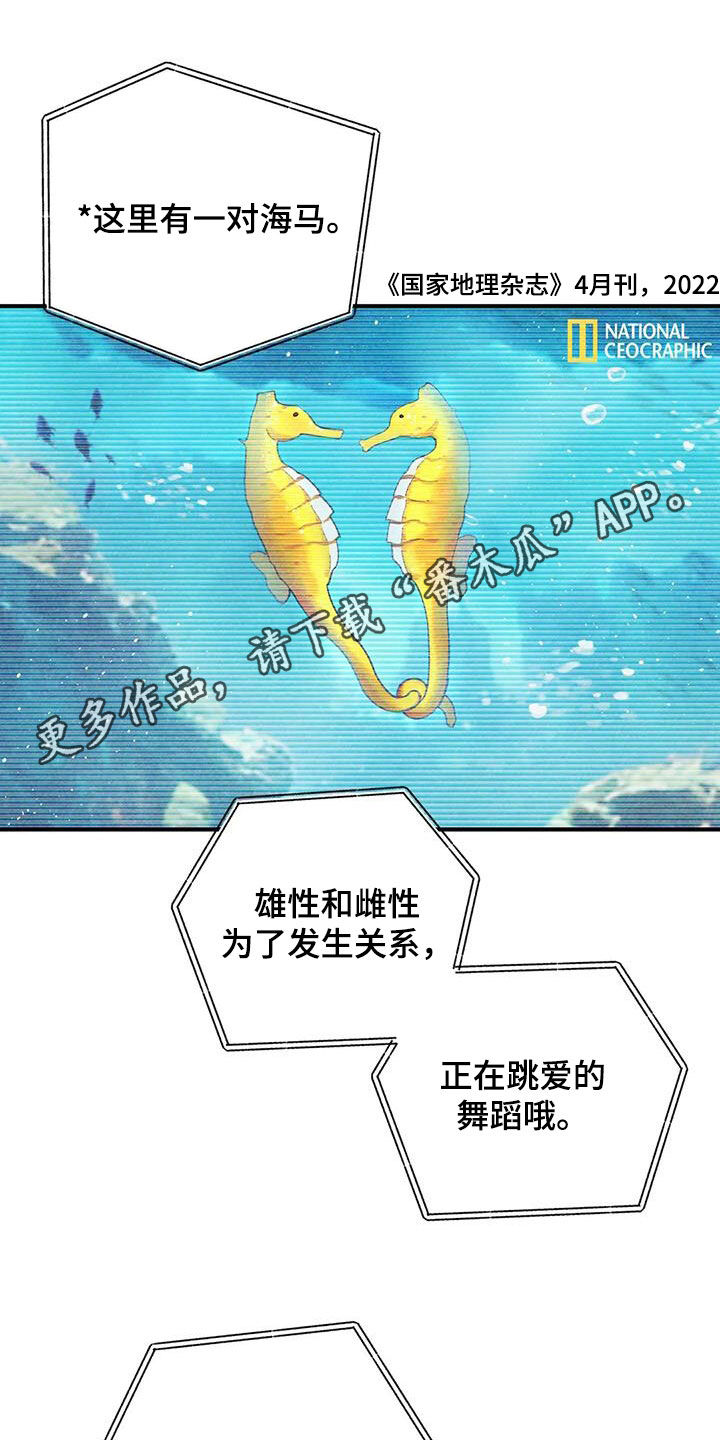 第162章：【番外】变成欧米伽0