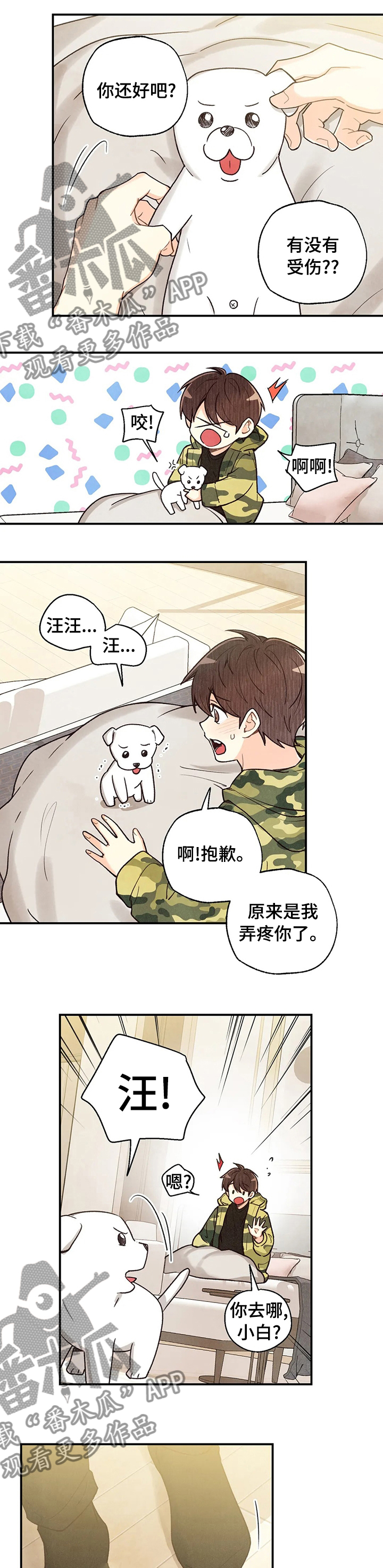 第112章：车祸那次的狗狗2