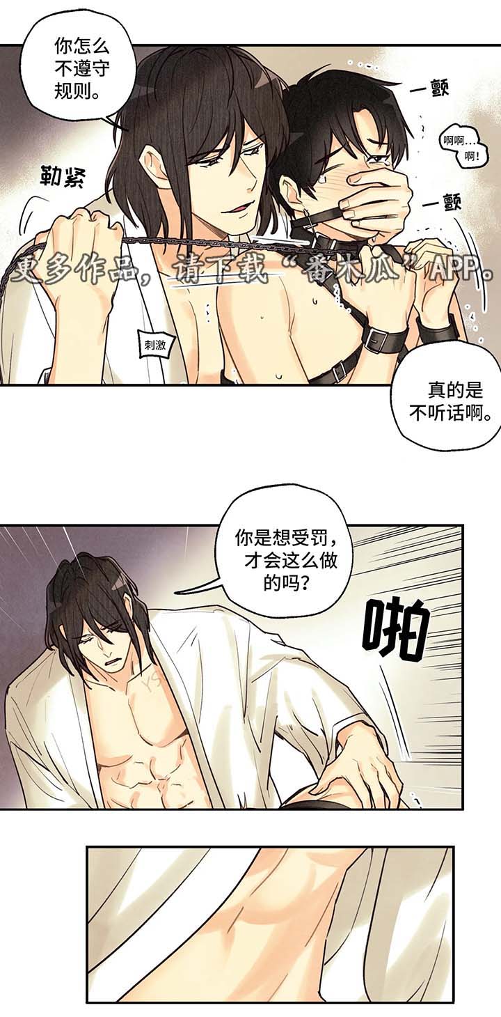 第56章：调查5