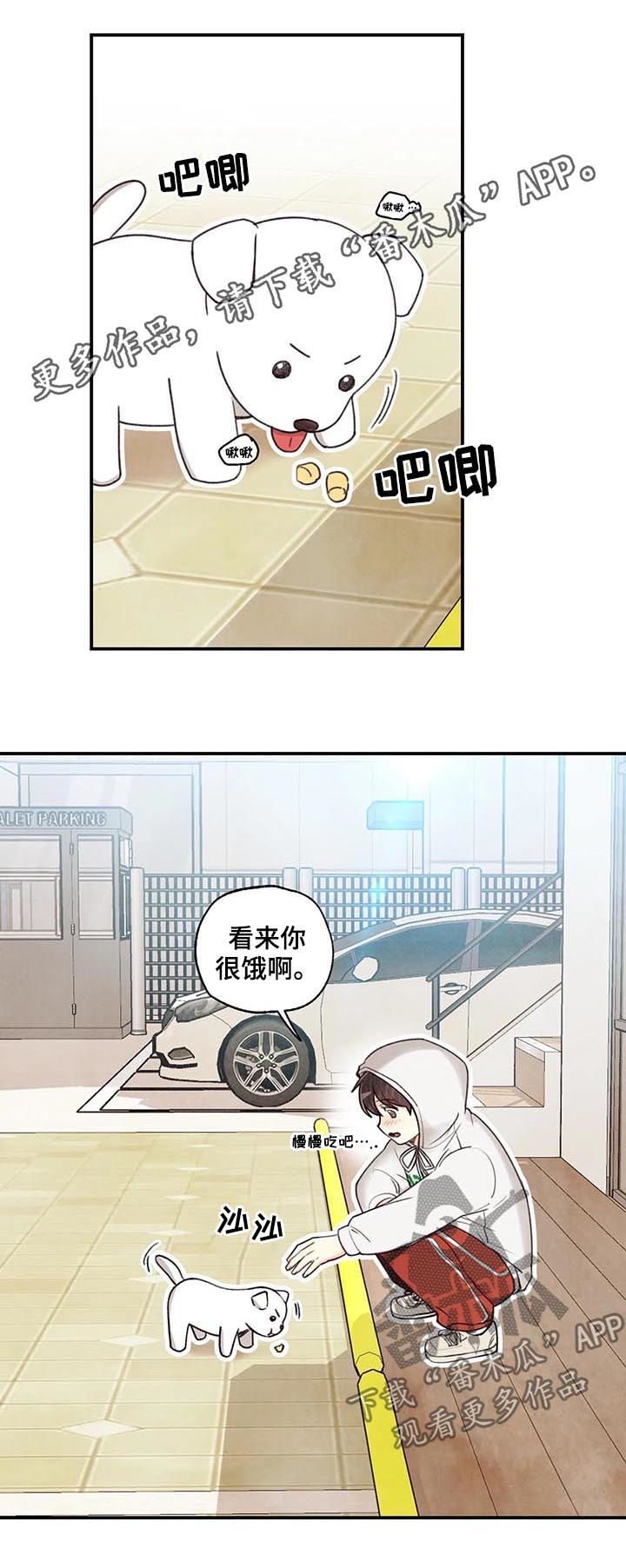 第71章：红线日0