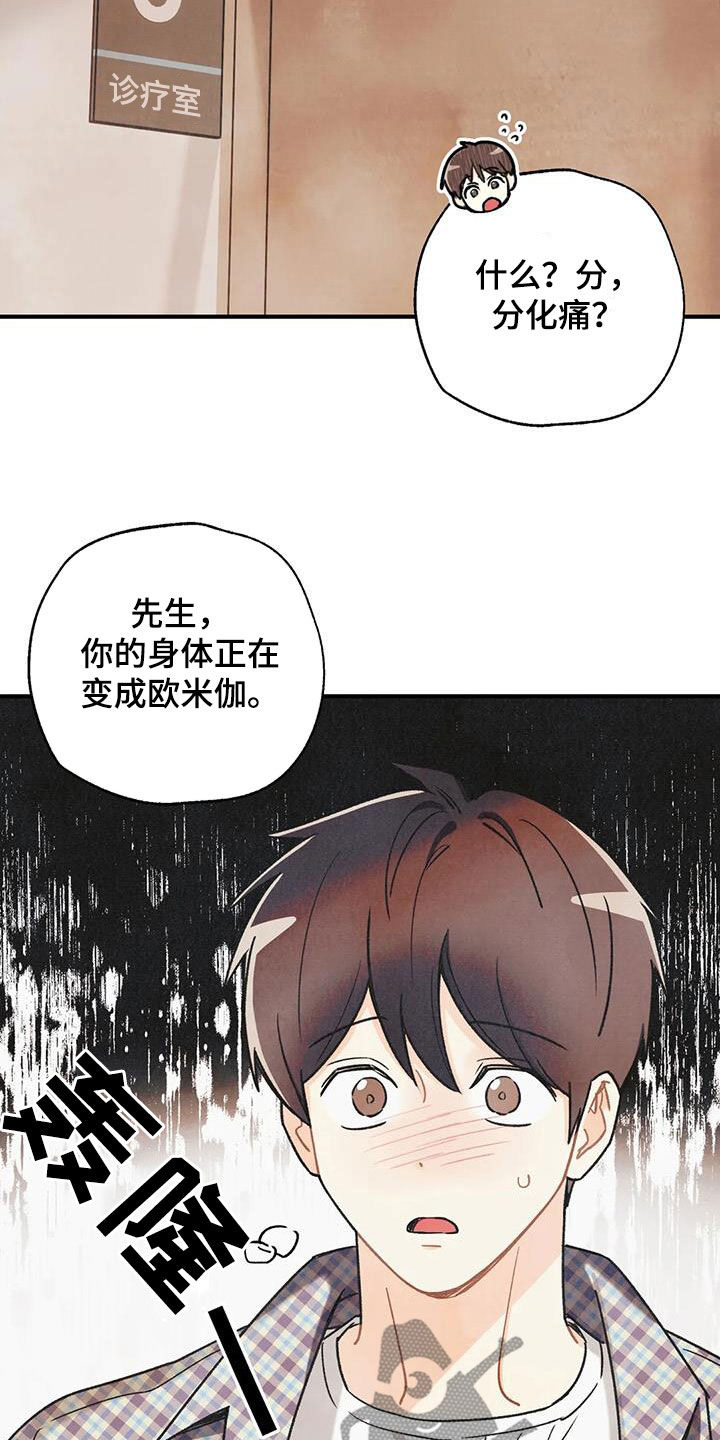 第162章：【番外】变成欧米伽13