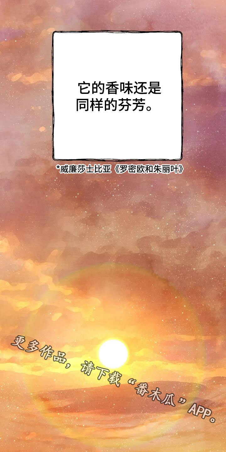 第155章：许愿（完结）26