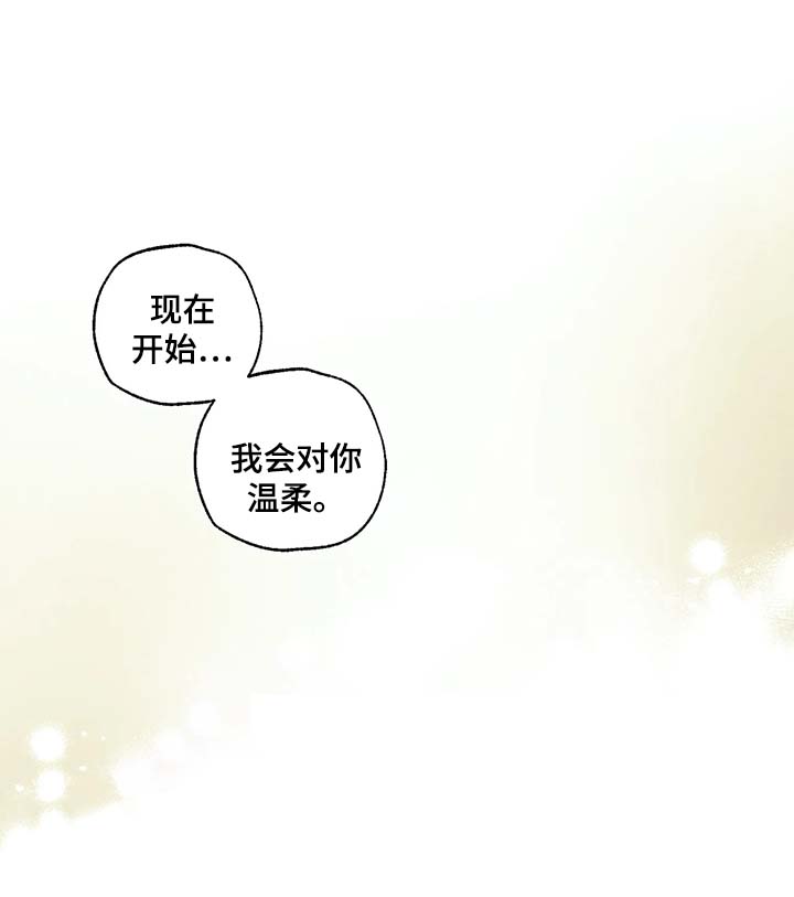 第51章：我会温柔对你14