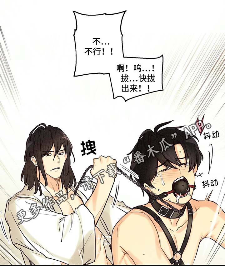 第56章：调查6