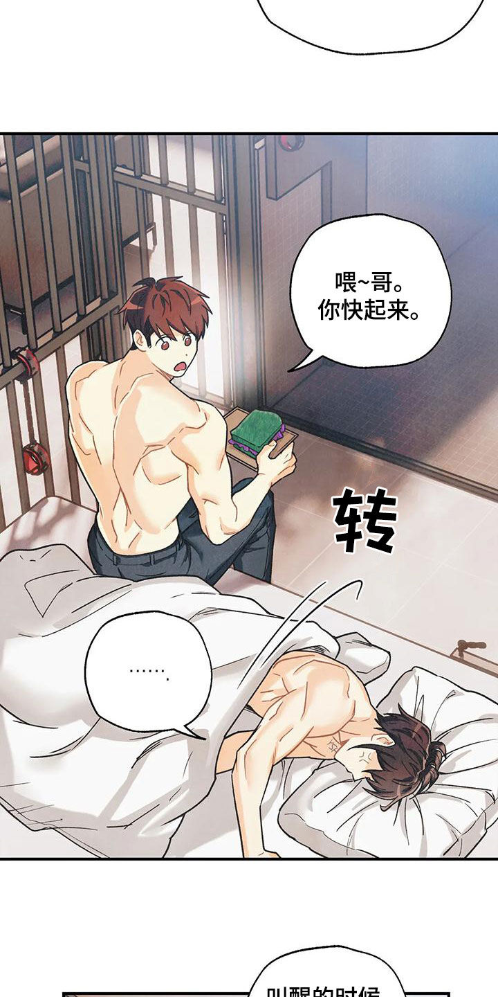 第159章：【番外】命运伴侣17