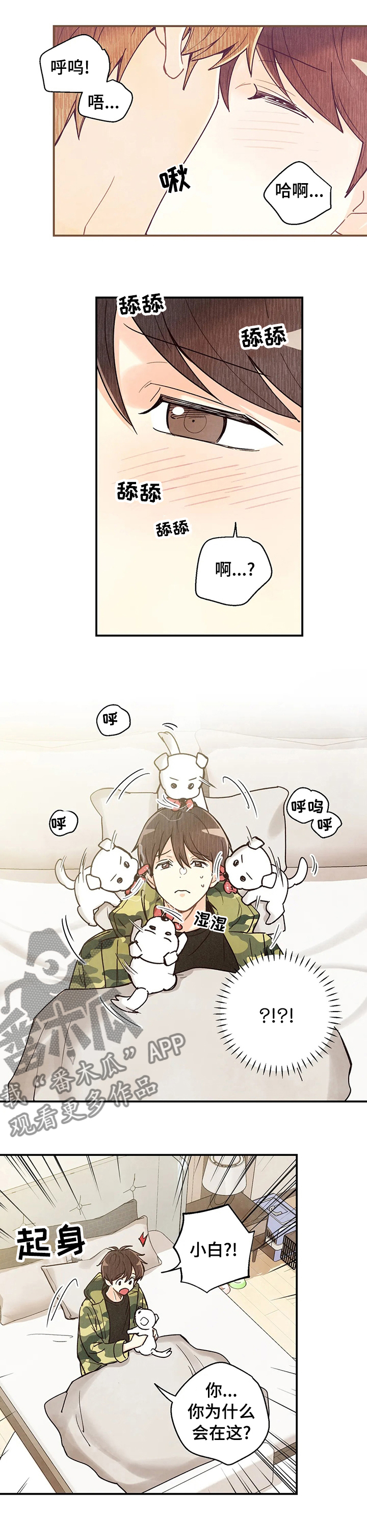 第112章：车祸那次的狗狗1