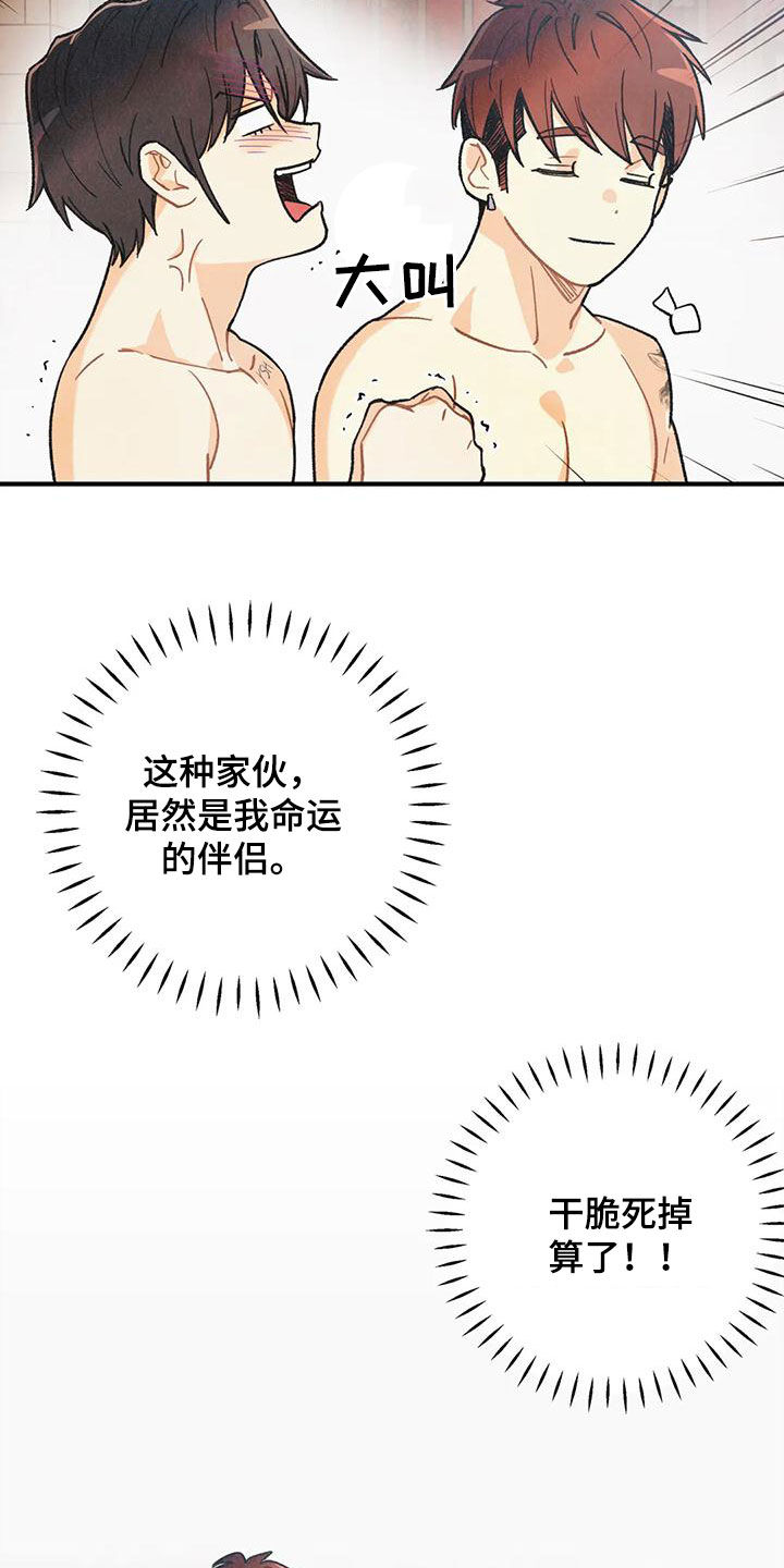 第159章：【番外】命运伴侣26