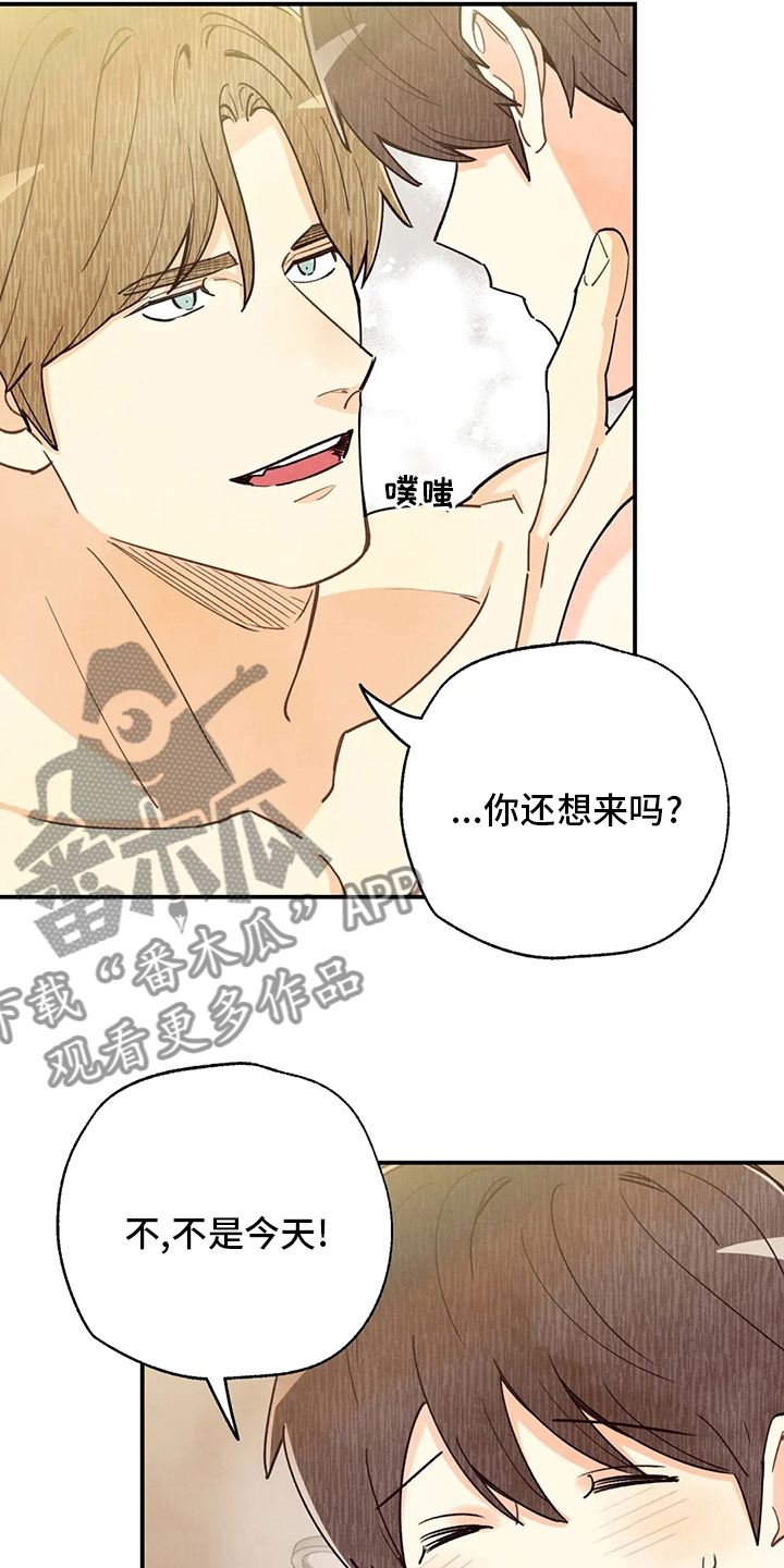 第146章：戒指11