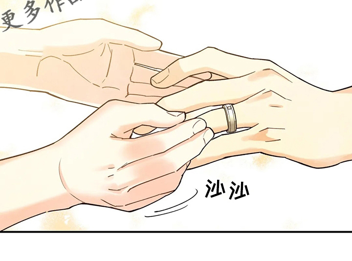 第146章：戒指18