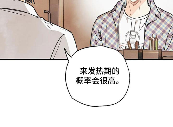 第162章：【番外】变成欧米伽17