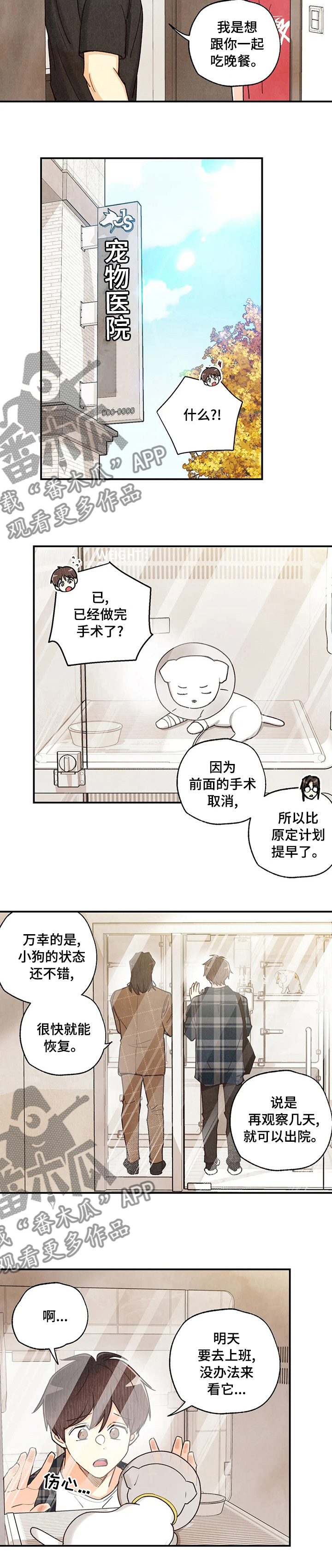 第117章：手术9