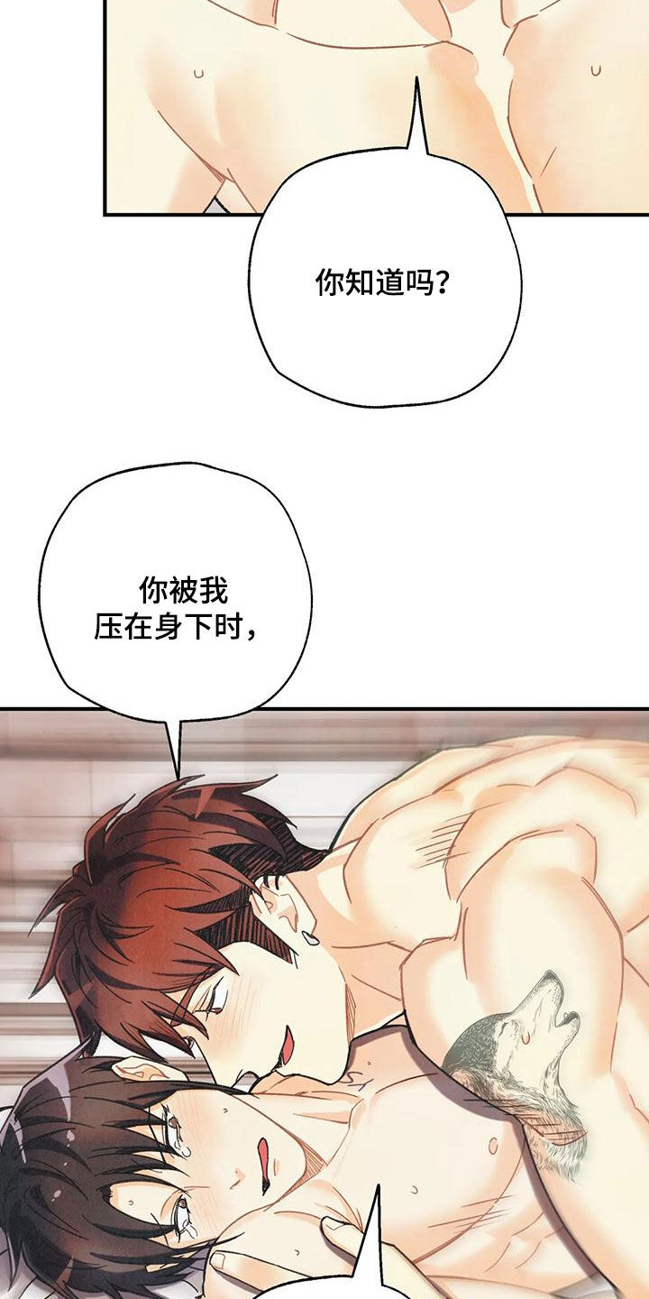 第159章：【番外】命运伴侣8