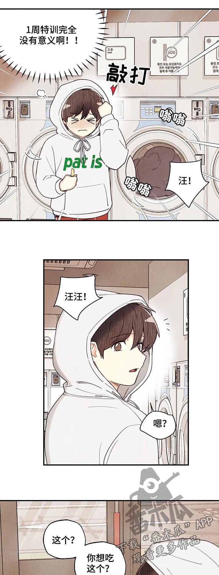 第70章：旺财12