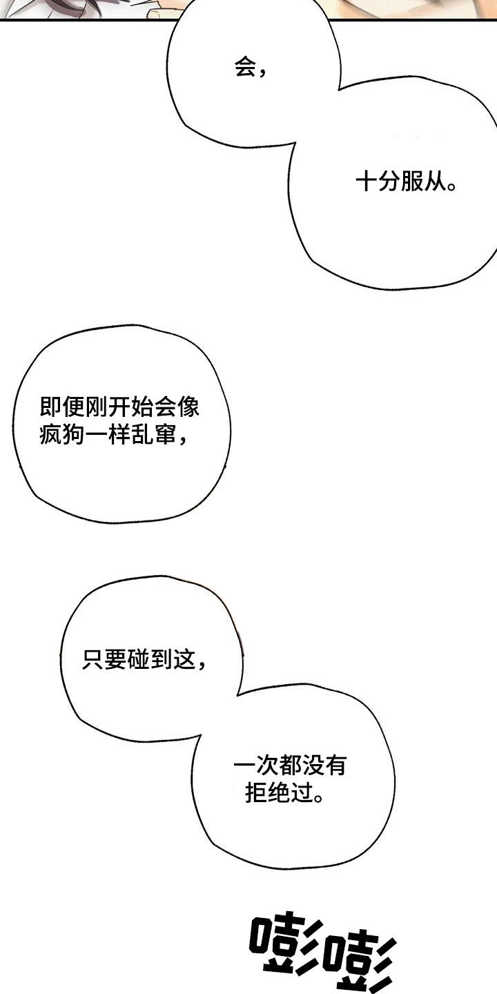 第159章：【番外】命运伴侣9