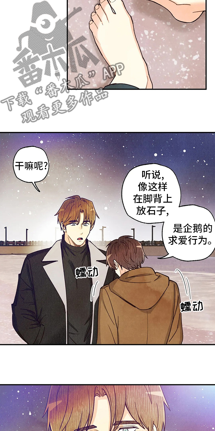 第145章：很闲4