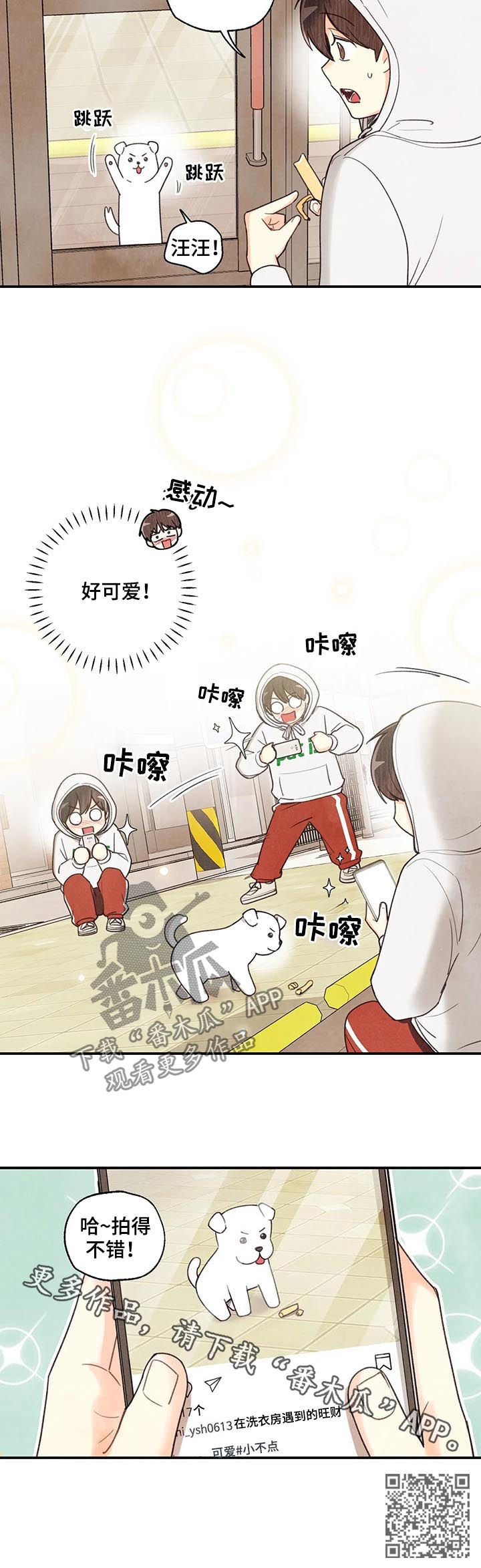 第70章：旺财13