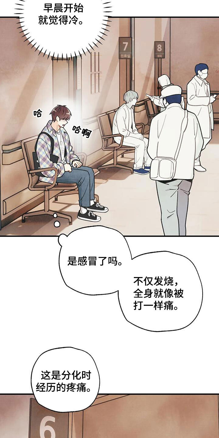 第162章：【番外】变成欧米伽12