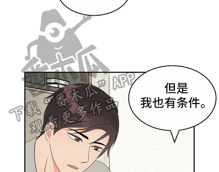 第13章：约定6