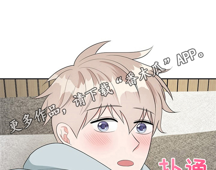 第13章：约定49