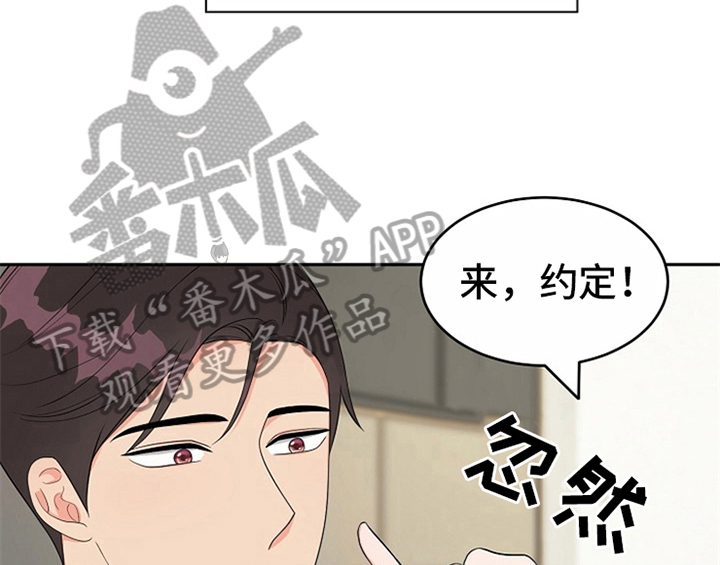 第13章：约定13