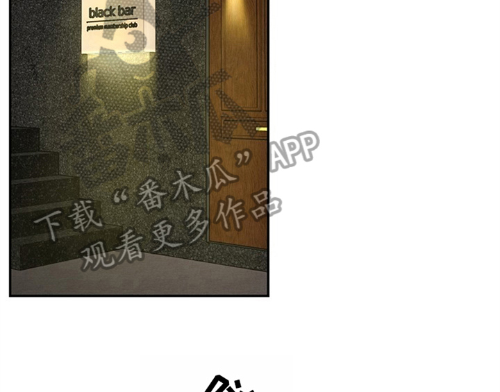 第10章：酒吧20