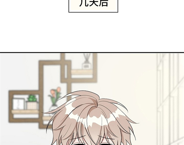 第3章：评价27