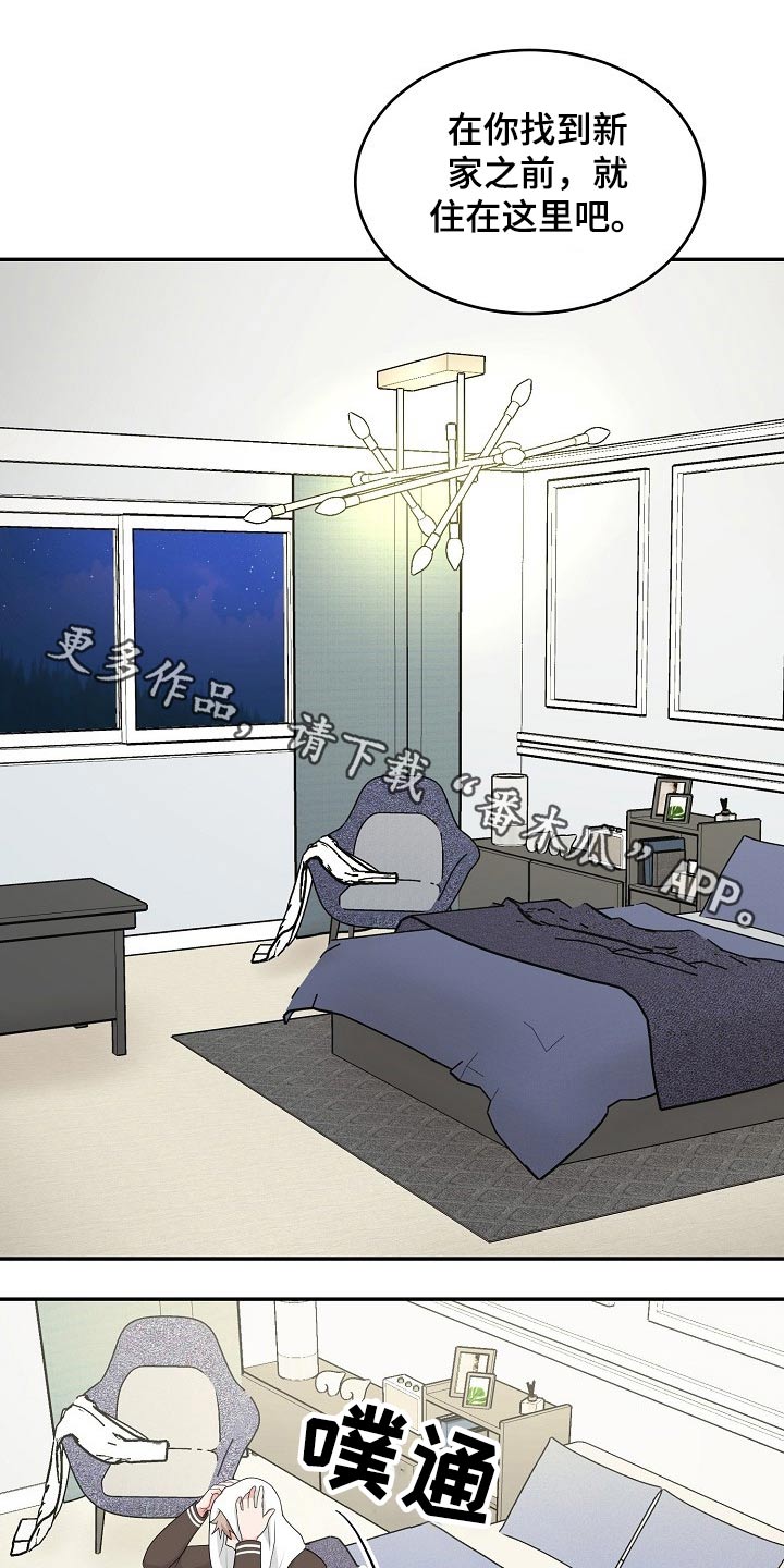 第21章：眼色0
