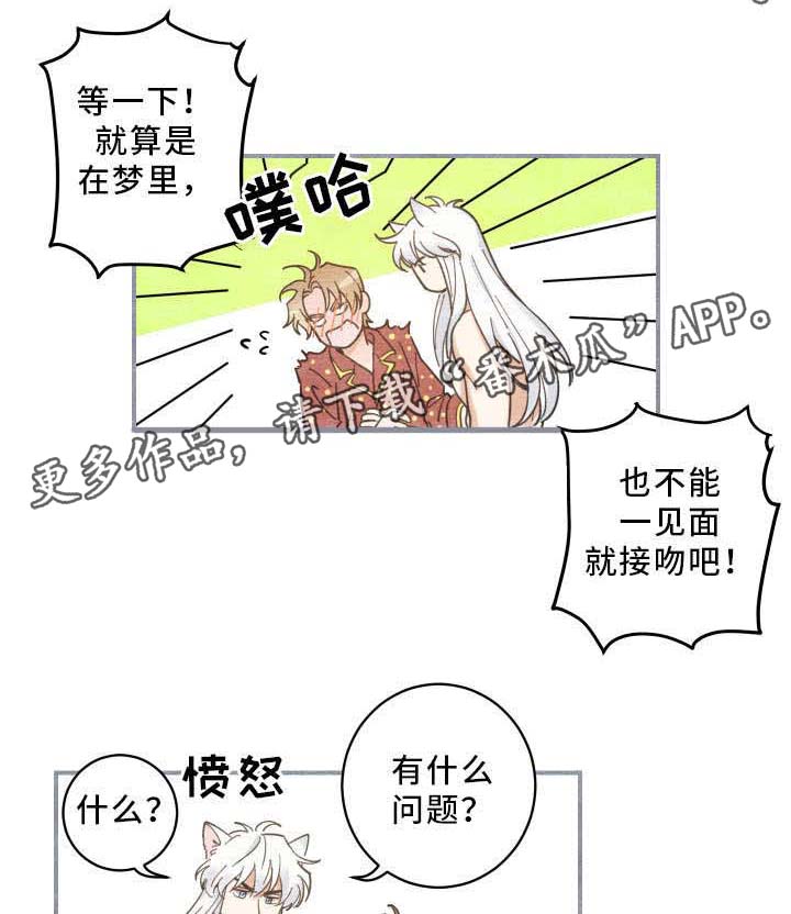 第3章：梦15