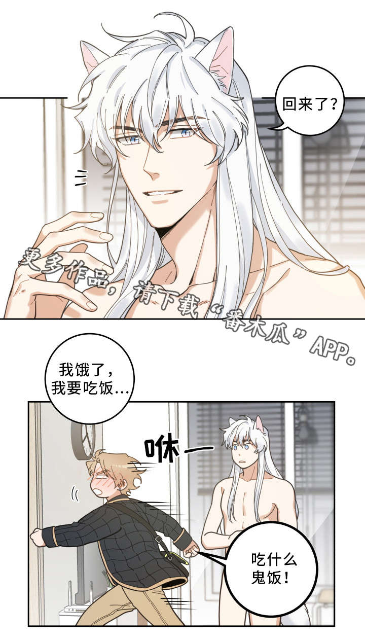 第7章：衣服5