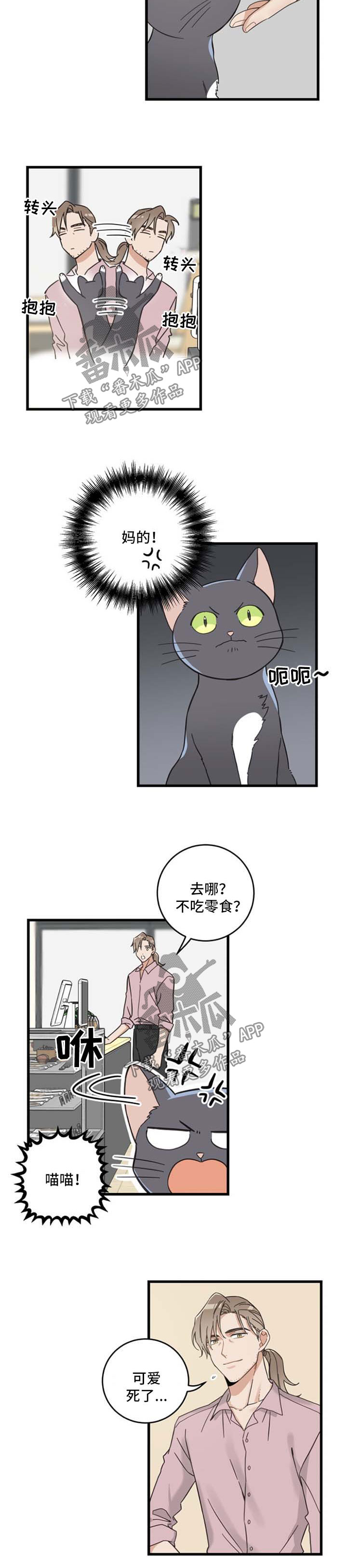 第95章：不行2