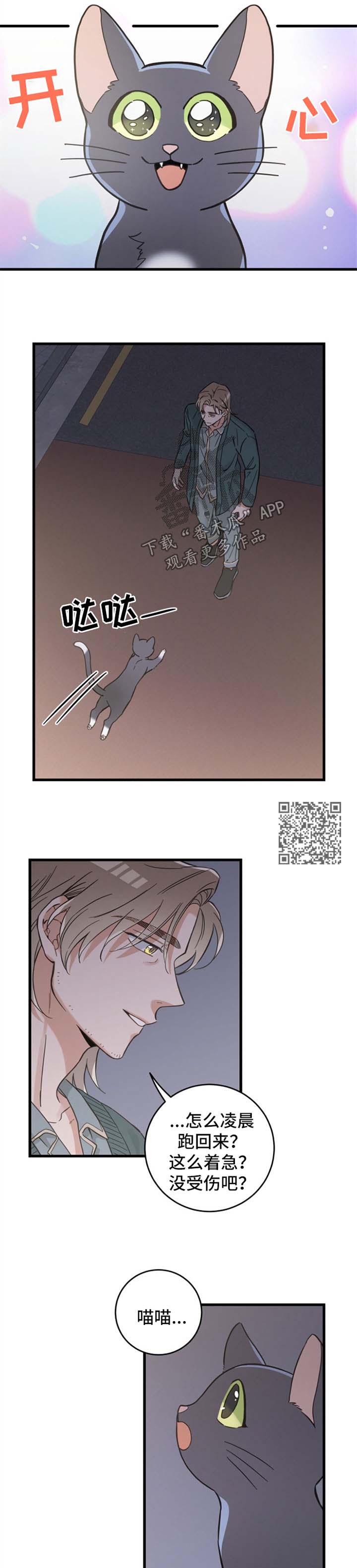 第83章：星星4