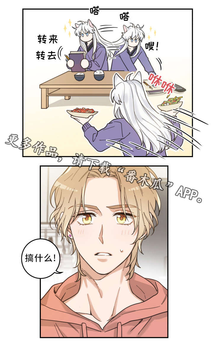 第11章：钻箱子12