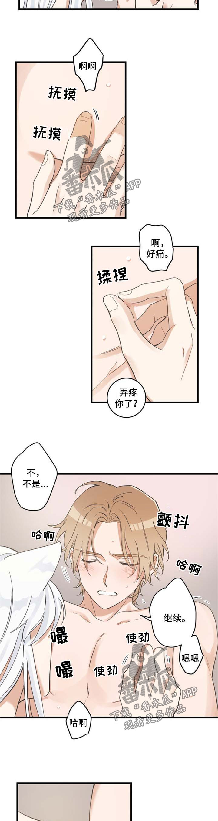 第78章：做你想做的2