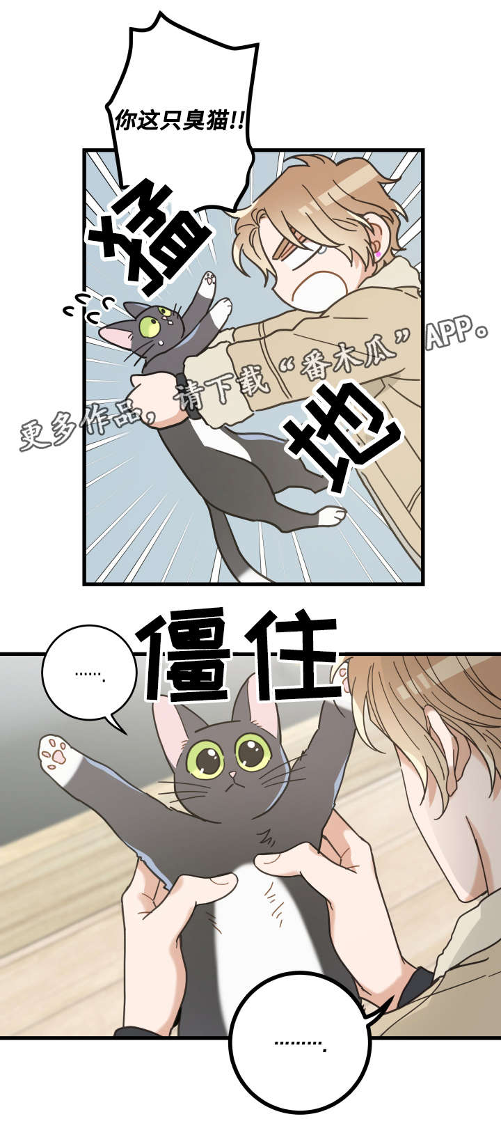 第42章：臭猫3