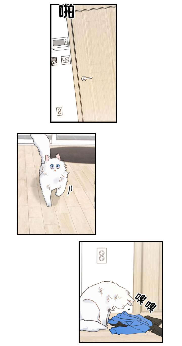 第2章：白猫8