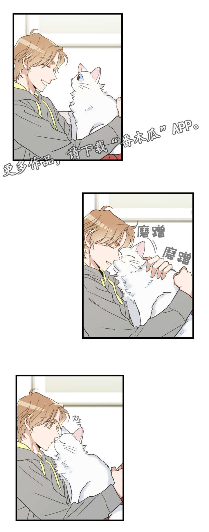 第40章：决心2