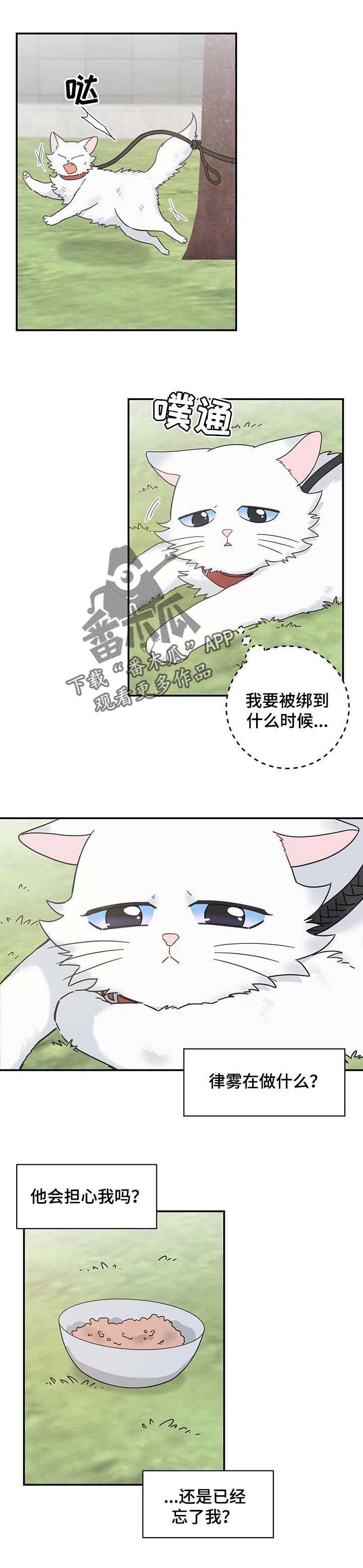 第110章：找到了4