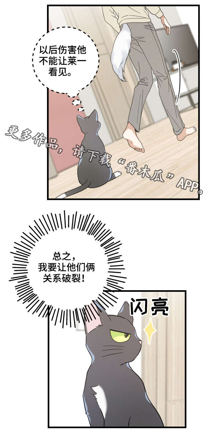 第41章：本能1